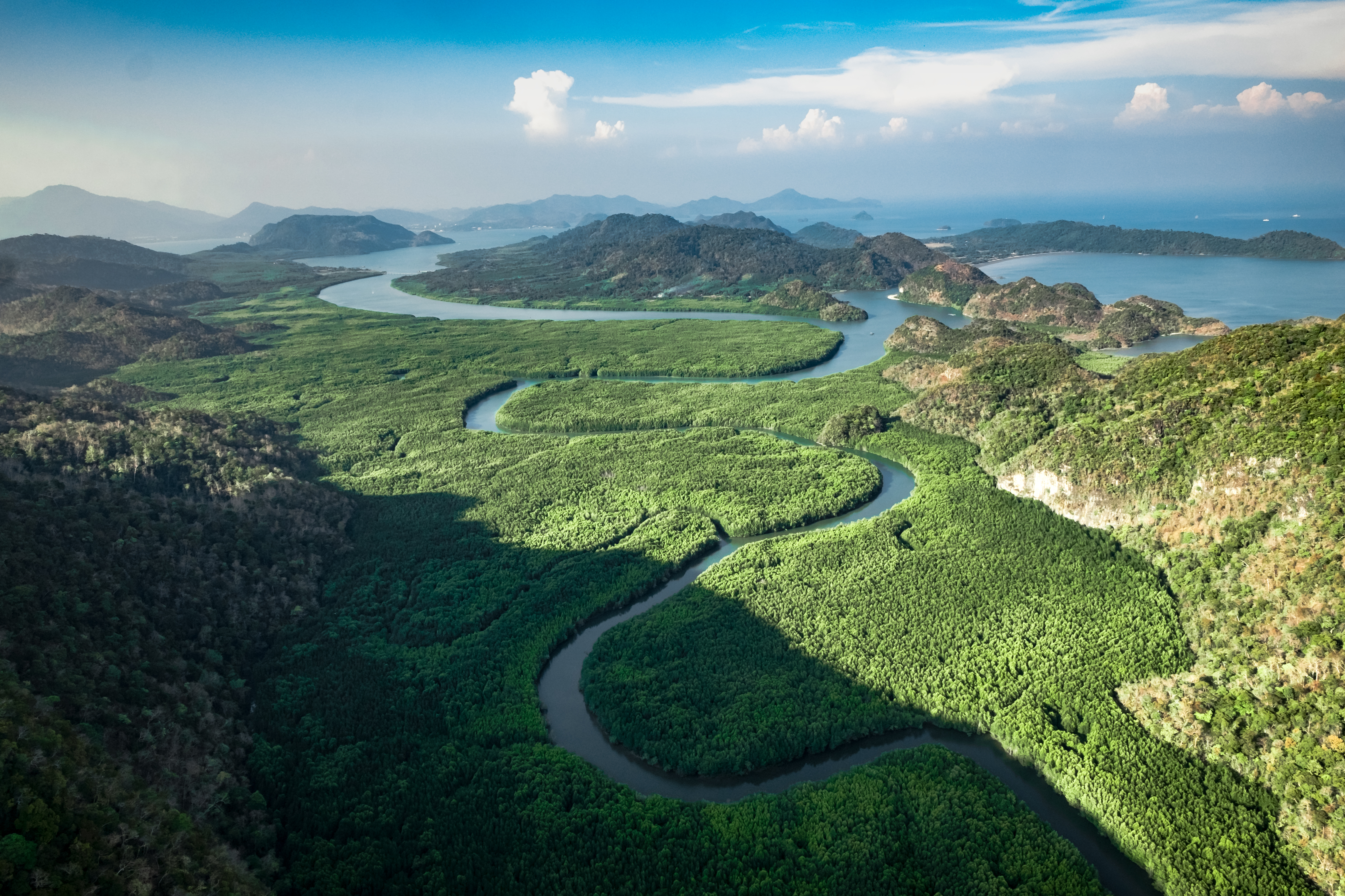 The Datai Langkawi - Langkawi Mangrove